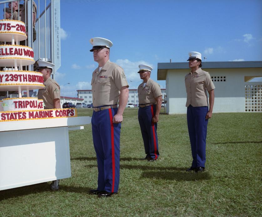 USMC Birthday Celebrations, Camp Foster, Okinawa. 2014